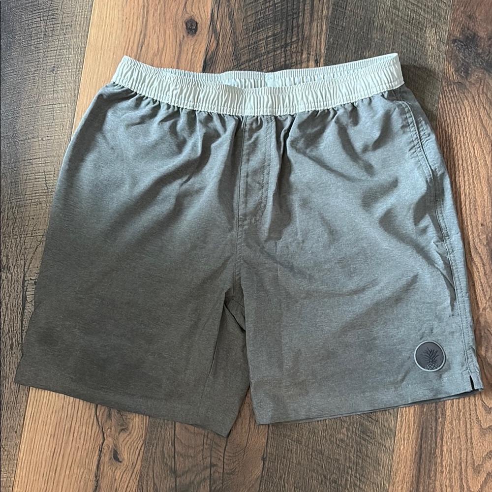 Men's Chubbies Gray Swim Shorts